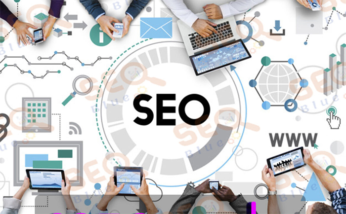 خدمات سيو وأرشفة المواقع وتحسين محركات البحث